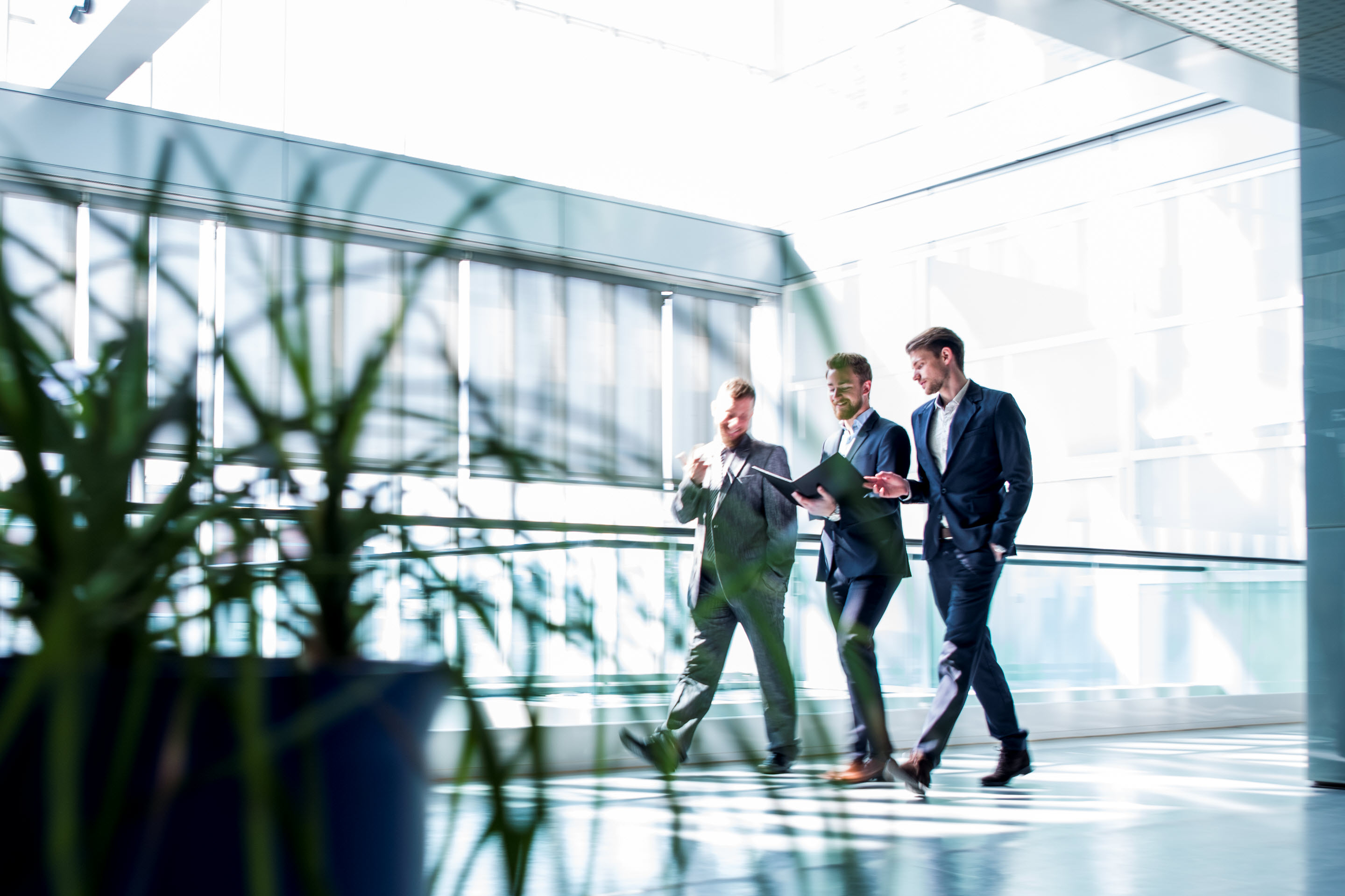 A group of tax professionals walk through an open hallway, chatting with each other. Some plants add color to the foreground.