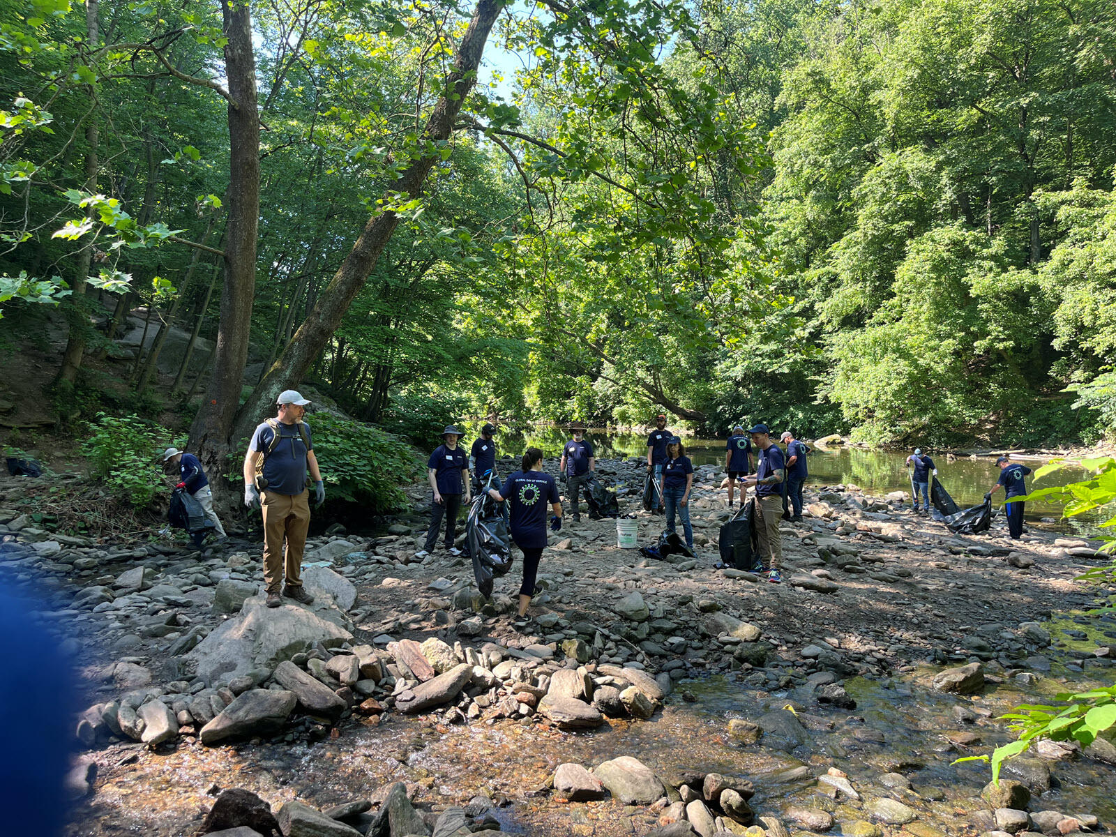 Vertex volunteers to pick up trash out of a local stream.